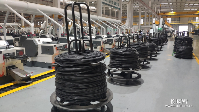 河北喜力德五金制造有限公司钻尾丝自动生产线。  长城网记者 郑建卫 摄