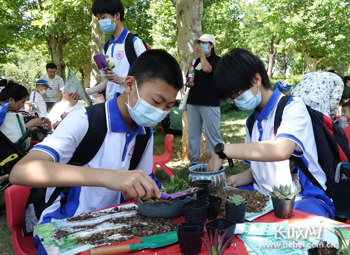 同学们的好奇心被极大激发，他们动手动脑，感受大自然，触摸大自然。长城网记者 李代姣 摄