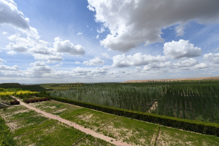  这是内蒙古鄂尔多斯市准格尔旗黑岱沟露天煤矿植被恢复区（5月26日摄）。新华社记者贝赫 摄