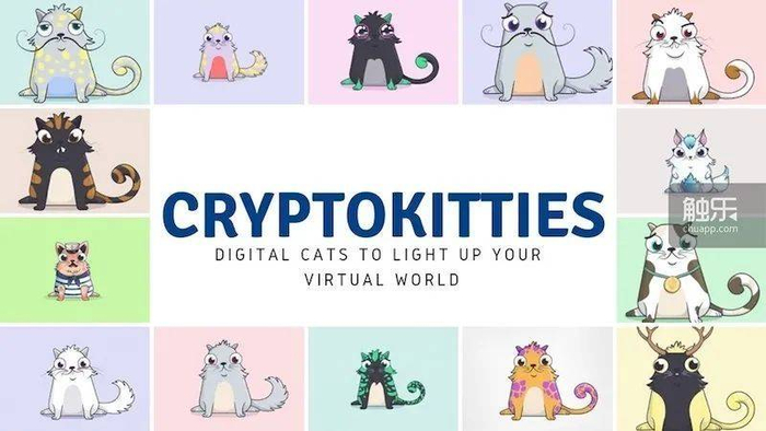 《迷恋猫》中的宠物小猫，并不怎么可爱。它被山寨过很多次，很多人或许都见过