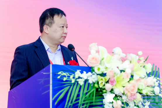 TCL科技集团股份有限公司副总裁杨进