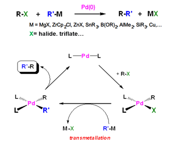 钯催化偶联反应的反应方程式以及催化机理示意图