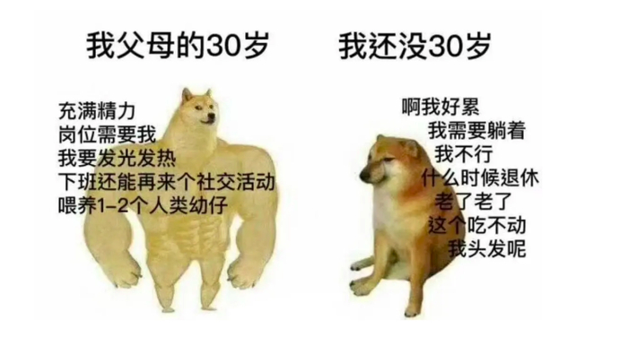 图源：网络截图