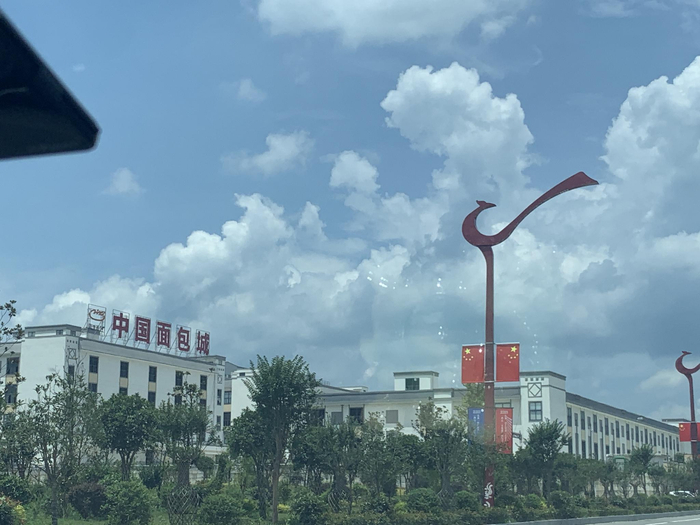 图片来源：时代周报记者 摄