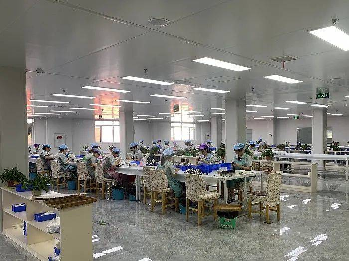 青县兴源制刷厂拍摄：张馨予