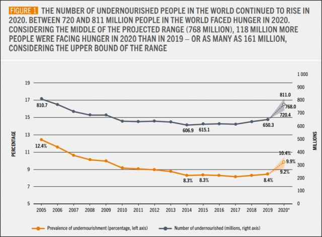 饥饿人口随年份变化曲线，灰线为数量（单位：百万），黄线为人口比例 报告截图