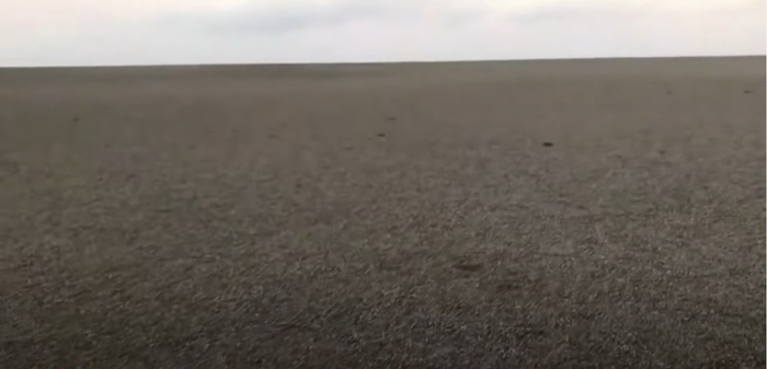 浮石筏上的大量浮石 | 图源：ayman masry