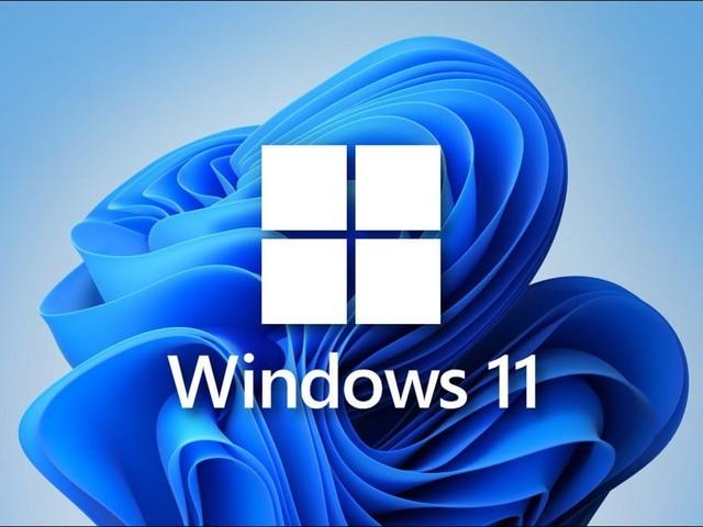 lumia950xl windows11カスタム化 美品 附属品多数