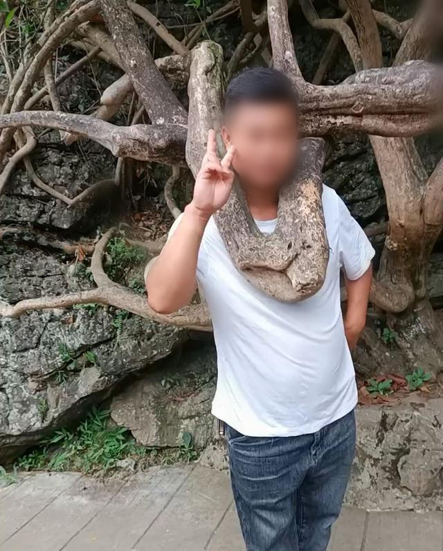 ▲将头伸进树杈拍照的男子。图据网络
