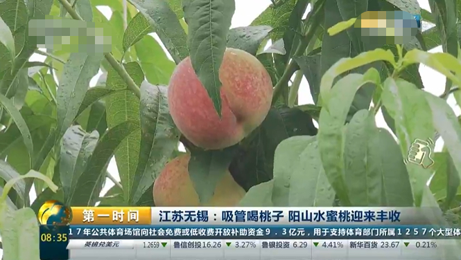 图片来自网络
