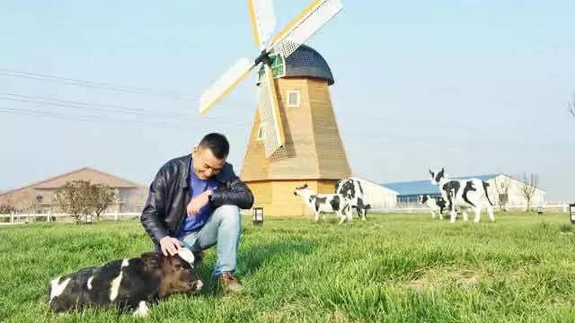 认养一头牛天然牧场