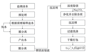 数据来源：《盐湖卤水提锂技术及产业化发展》