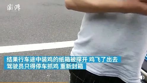 图片来源：澎湃新闻
