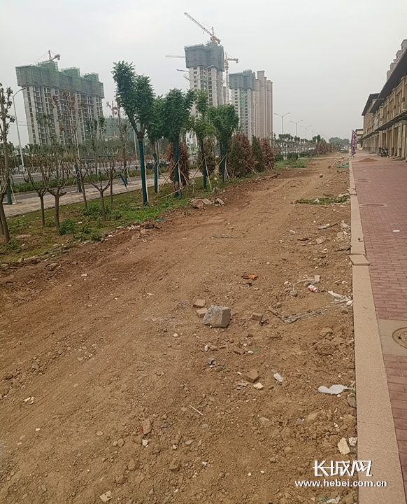 衡水桃城区北沼家园一区门店前没有施工的土路。网友 李先生 供图