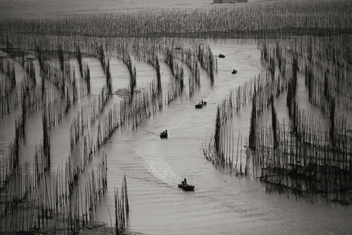 图/站在最佳摄影点上拍摄的沙江S湾。