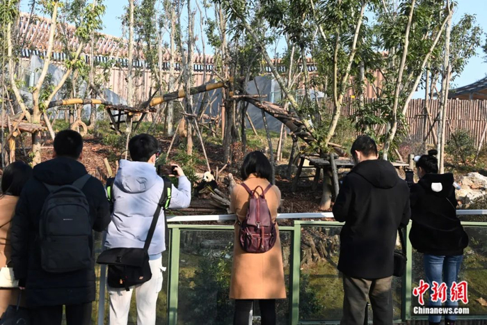 2022年第一天前来参观的游客们。安源 摄