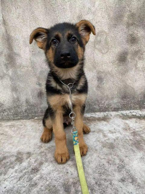 ▲小时候的杰克