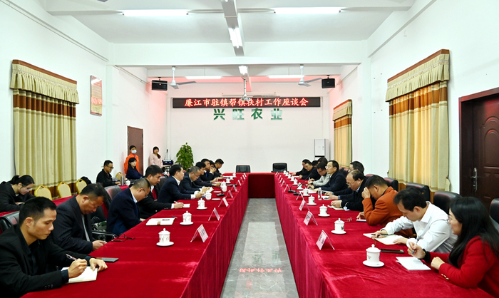 召开驻镇帮镇扶村工作座谈会