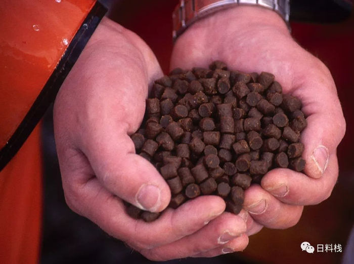 大西洋鲑的鱼饲料。via：scottishsalmon.co.uk