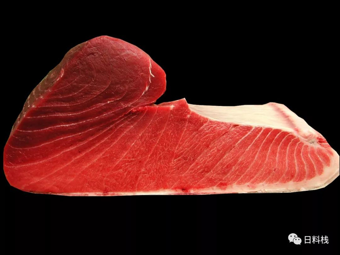 一大块金枪鱼肉。via：maguro.tv