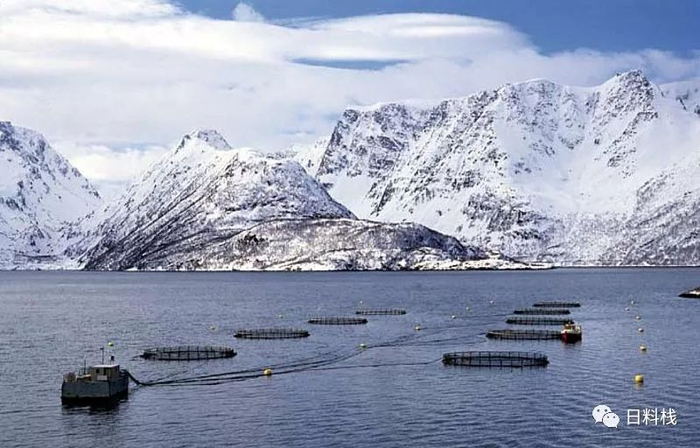 挪威的一个大西洋鲑养殖场。via：kyst-norge.no