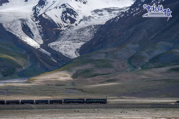 动脉。高慎阳 摄