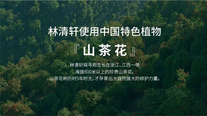 林清玄 官网品牌介绍