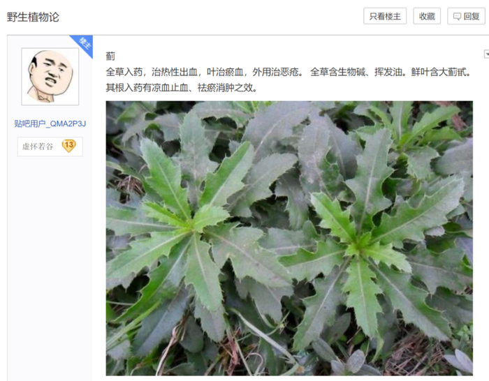 为了省钱，吧友能自己写一本《本草纲目》。/隐居吧