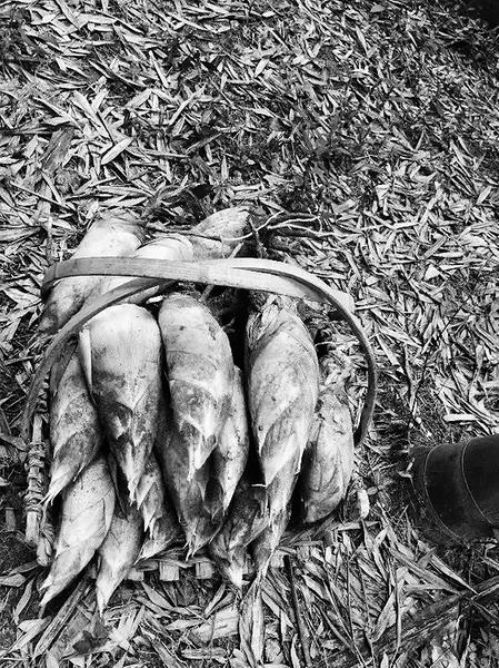 分享到微信QQ好友QQ空间新浪微博腾讯微博网易微博0