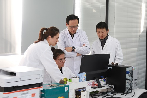 团队讨论（右二为汪思佳）         戚心茹摄