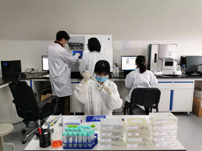 杨胜勇教授/雷剑研究员科研团队