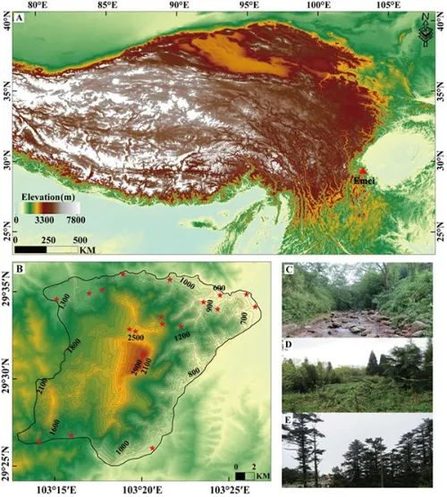 图2.峨眉山位置及区域内海拔、主要植被类型状况
