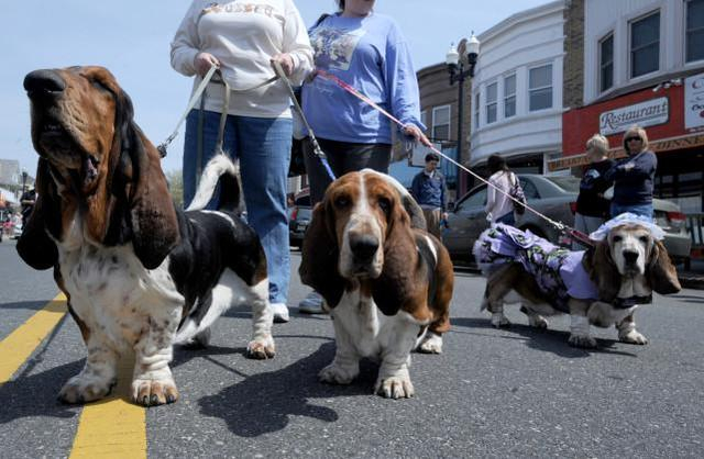 图源：视觉中国