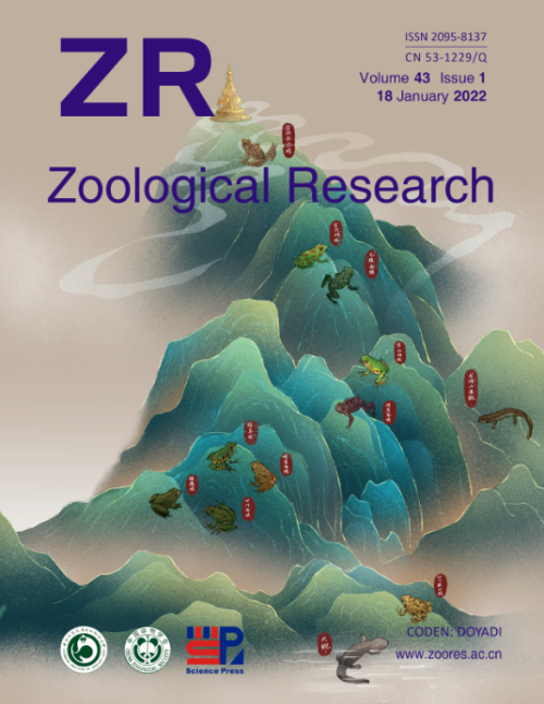 图1.Zoological Research封面：峨眉山的两栖动物