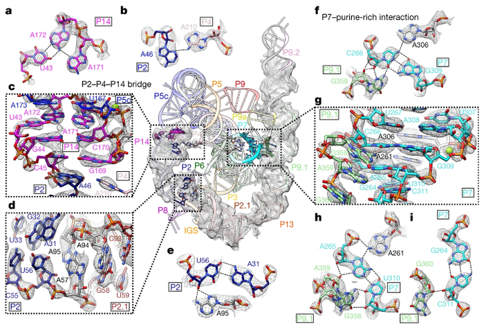 相关研究工作图片