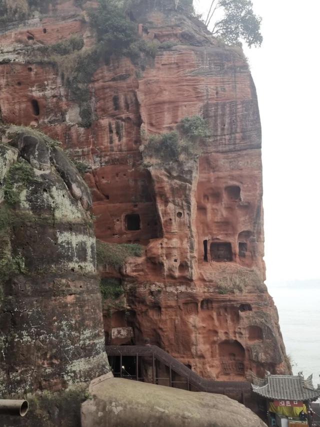 乐山大佛两侧的石窟风化严重。新华社记者 童芳 摄