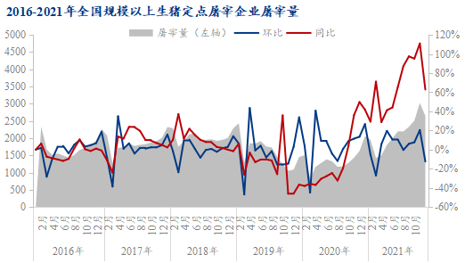图7 2016-2021年全国规模以上生猪定点屠宰企业屠宰量
