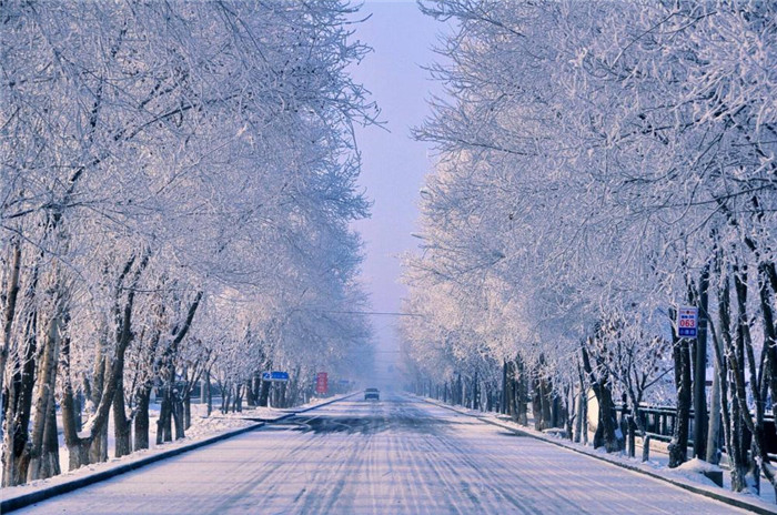 奎屯市已是地寒冰封，雨凝为雪，一觉醒来，满树银霜，在寒风中摇曳。路上远行的车轮，在银白色的世界里留下车辙，虽然北风凛冽，却挡不住来年的勃勃生机。（哈里哈西·叶尔肯别克 摄）
