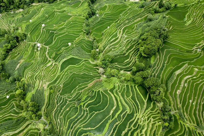 哈尼梯田 图源：视觉中国