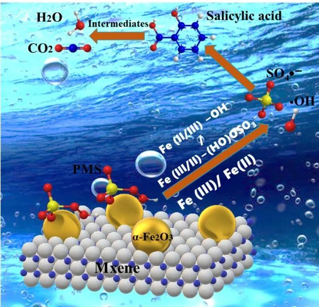 图1 α-Fe₂O₃/MXene纳米催化剂活化过一硫酸盐（PMS）机制示意图