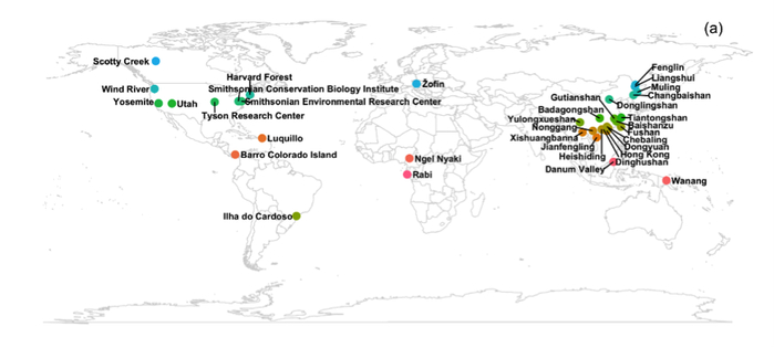 图1 35个大型固定森林样地的分布图&nbsp;