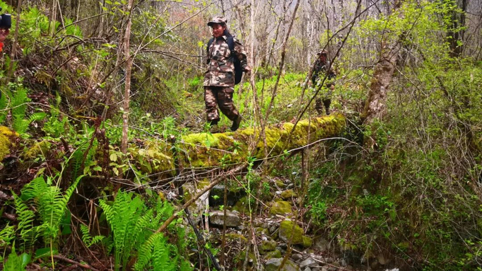生态护林员巡山 资料图