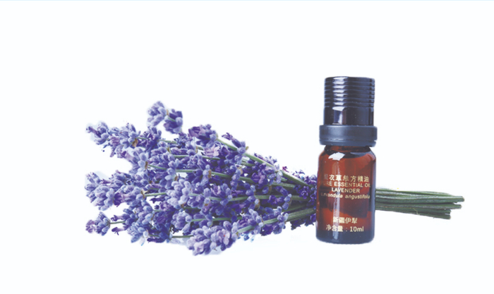 薰衣草花和精油（图片由中科院石磊团队提供）