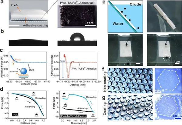 图3.水凝胶的非对称功能改性