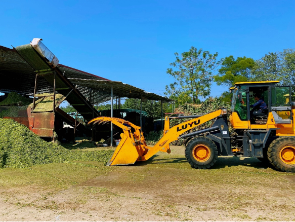 秸秆收割粉碎机创造了新商机  钟天一 摄