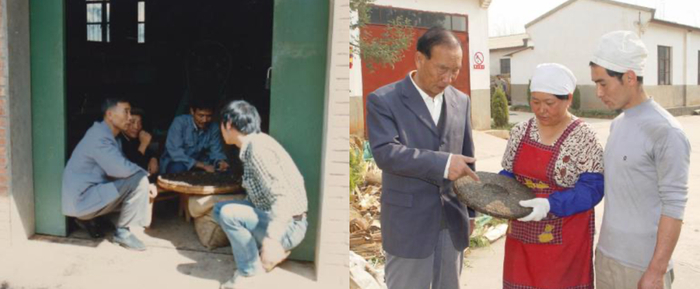 ▲杨行吉老师跟茶农交谈