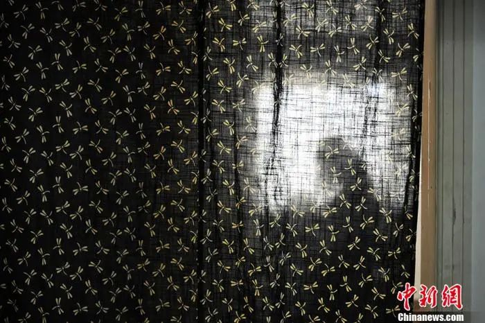 空巢青年。中新网记者 李霈韵 摄