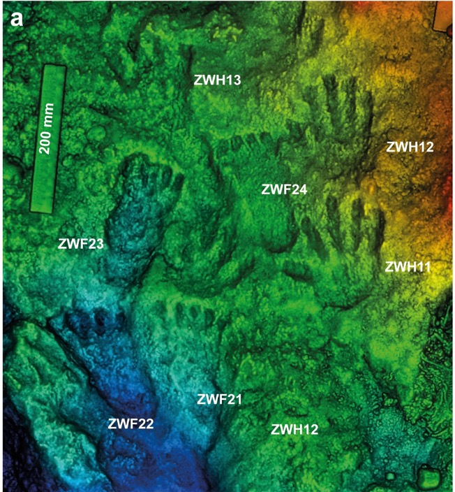 邱桑温泉手脚印彩色渲染3D扫描模型。受访者供图
