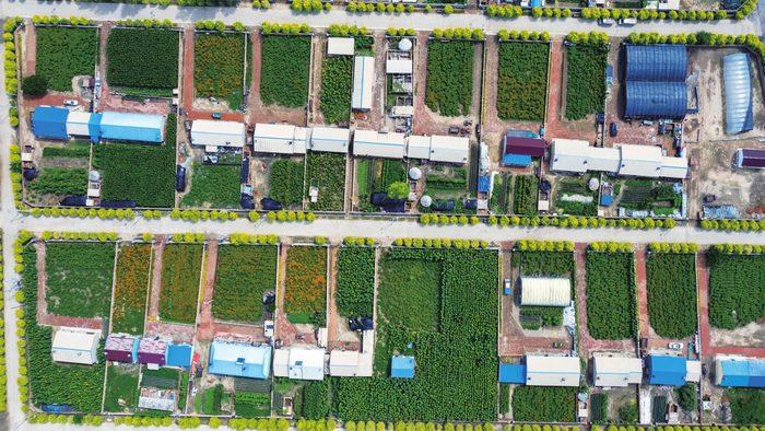     庭院经济促增效。 本版图片均为资料图片 摄影：戈驰川 李晓明 潘晟昱等