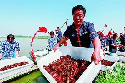 盱眙县小龙虾丰收 周海军摄/光明图片